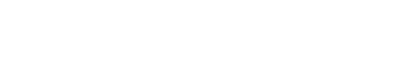 Twisted Indian logo